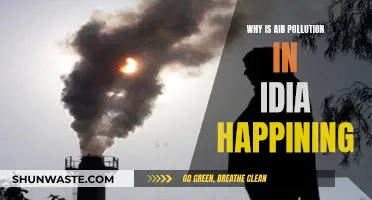 Air Pollution in India: Understanding the Crisis