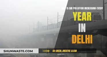 Delhi's Air Pollution: Worsening Yearly Crisis