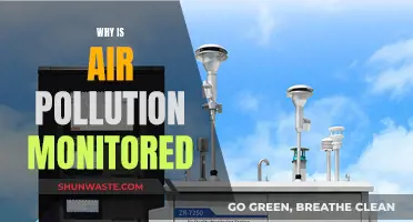 Air Pollution Monitoring: Saving Lives, Protecting Our Future