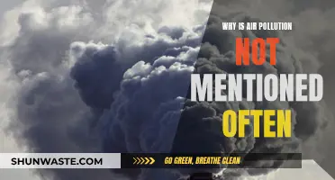 Air Pollution: The Unspoken Crisis