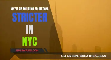 NYC's Strict Air Pollution Regulations: Why?
