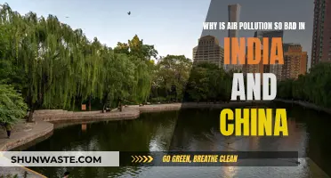 Air Pollution Crisis in China and India: Why?