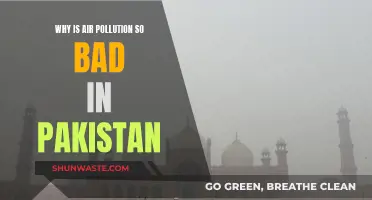 Pakistan's Air Pollution: A Crisis Unfolding