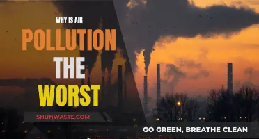 Air Pollution: A Global Health Crisis