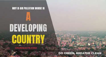 Developing Countries: Air Pollution's Perfect Storm
