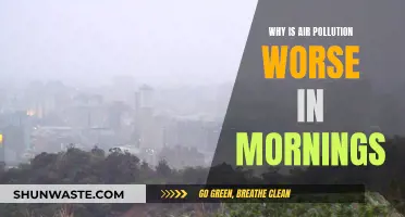 Morning Air Pollution: Why It's Worse