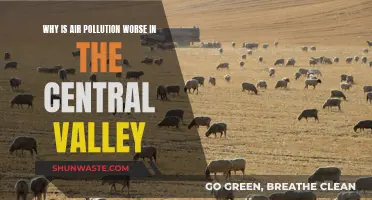 Central Valley's Air Pollution: What's the Reason?