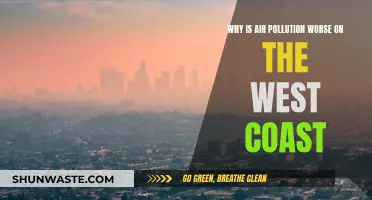 Air Pollution's West Coast Bias: Why?