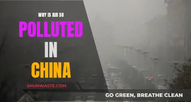 The Air Pollution Crisis in China: Why?