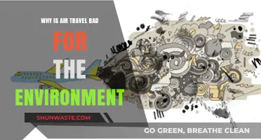 Air Travel's Environmental Impact: Uncovering the Hidden Costs of Flying