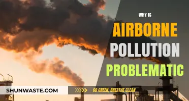 Airborne Pollution's Hidden Dangers: Health, Environment, and Global Impact Explained