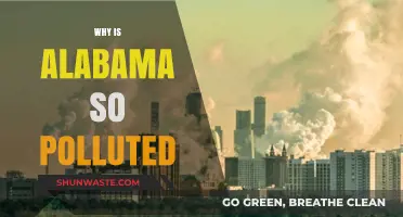 Alabama's Pollution Crisis: Uncovering the Causes and Consequences