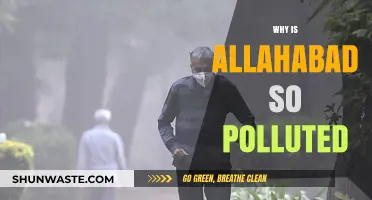 Allahabad's Pollution Crisis: Causes, Impact, and Urgent Solutions Needed