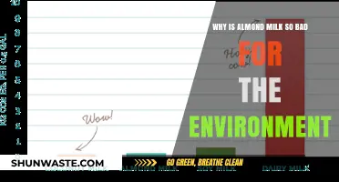 Almond Milk's Hidden Environmental Cost: Water, Land, and Impact