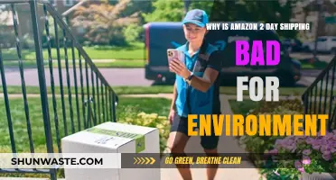 Amazon's 2-Day Shipping: Convenience vs. Environmental Impact Explained
