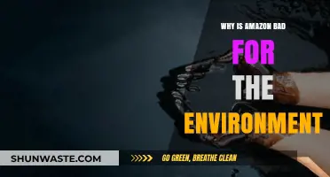 Amazon's Environmental Impact: Unpacking the Harmful Effects on Our Planet