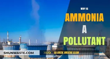 Ammonia's Environmental Impact: Understanding Its Role as a Harmful Pollutant