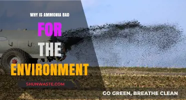 Ammonia's Environmental Impact: Harmful Effects on Ecosystems and Climate