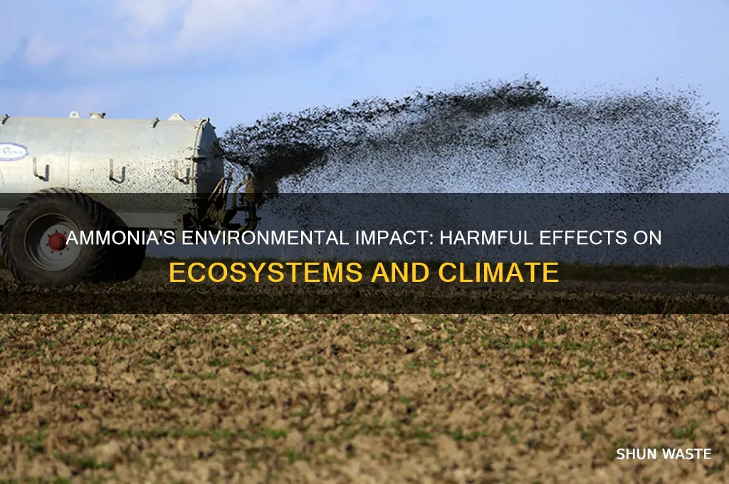 why is ammonia bad for the environment
