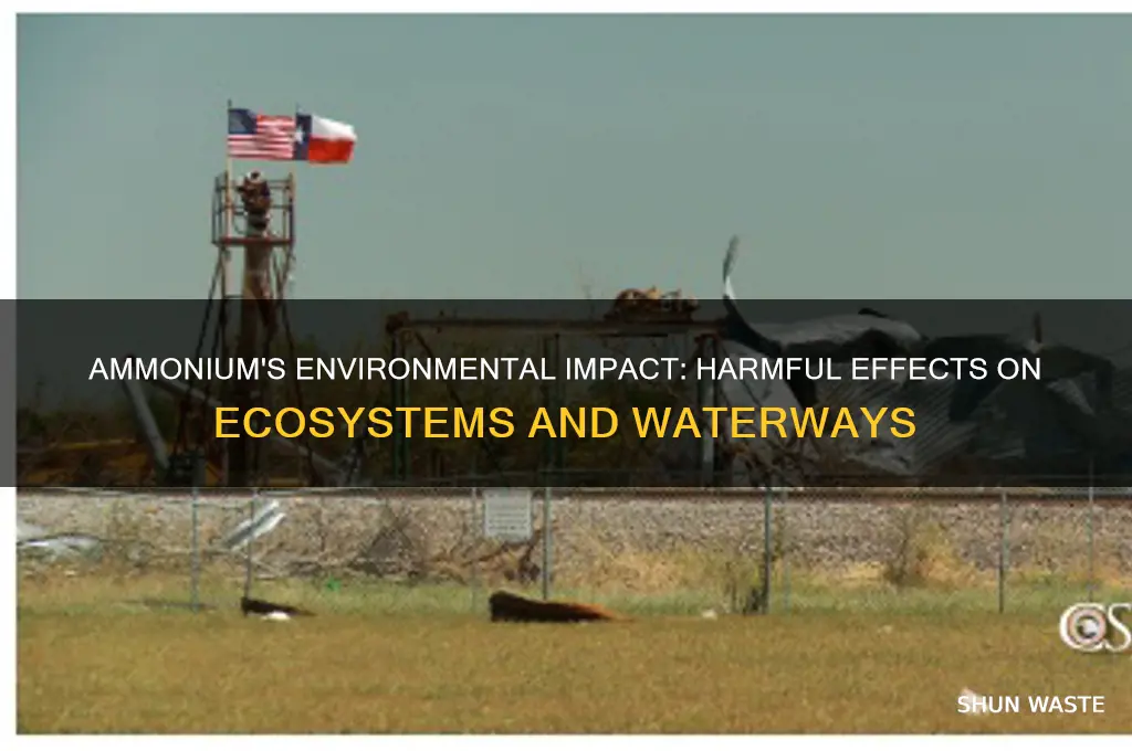 why is ammonium bad for the environment