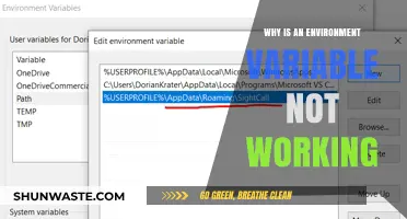 Troubleshooting Environment Variables: Why Yours Isn't Working as Expected