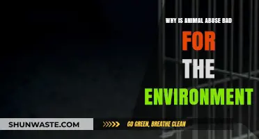 Animal Cruelty's Hidden Cost: Environmental Destruction and Ecosystem Imbalance