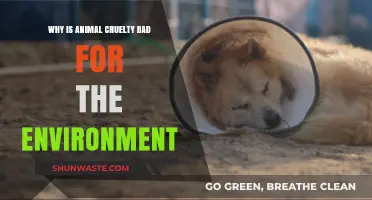Animal Cruelty's Environmental Impact: Harming Ecosystems and Biodiversity