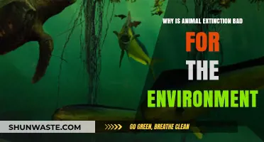 Animal Extinction's Devastating Impact on Ecosystems and Environmental Balance
