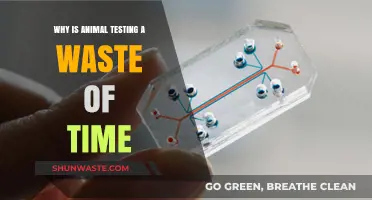 Why Animal Testing is a Waste of Time: Exploring Alternatives