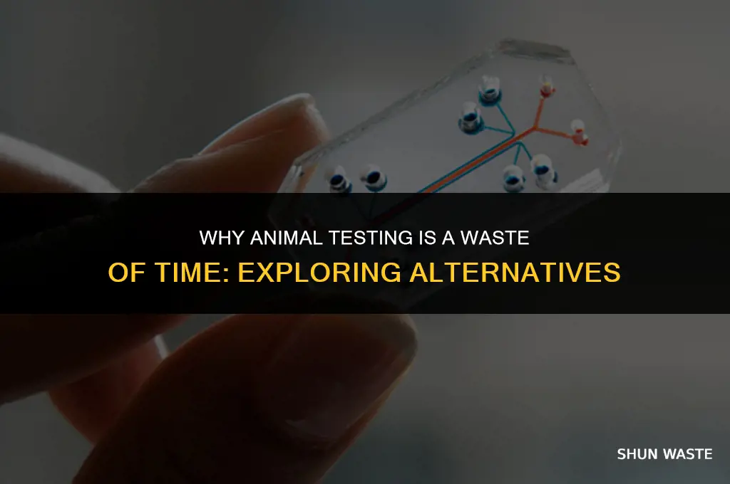 why is animal testing a waste of time