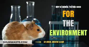 Animal Testing's Eco-Impact: Unveiling Environmental Benefits and Sustainability