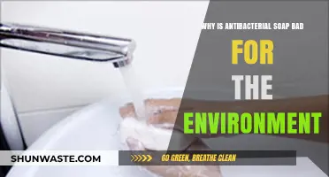Antibacterial Soap's Hidden Environmental Costs: A Threat to Ecosystems
