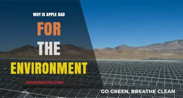 Apple's Environmental Impact: Uncovering the Dark Side of Innovation