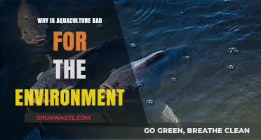 Aquaculture's Environmental Impact: Uncovering the Hidden Costs of Fish Farming