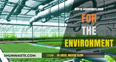 Aquaponics: A Sustainable, Eco-Friendly Farming Revolution for Our Planet