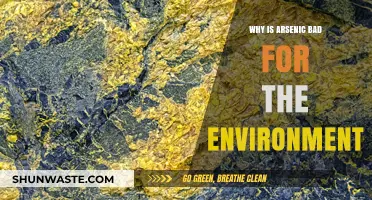 Arsenic's Environmental Impact: Toxic Threats to Ecosystems and Human Health