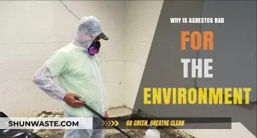 Asbestos' Environmental Impact: Uncovering Its Harmful Effects on Ecosystems