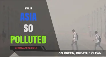 Asia's Pollution Crisis: Causes, Impacts, and Urgent Solutions Needed