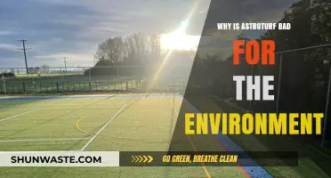 Astroturf's Environmental Impact: Uncovering the Hidden Ecological Costs