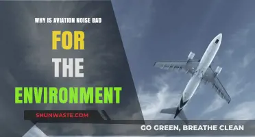 Aviation Noise Pollution: Environmental Impacts and Sustainable Solutions Explored