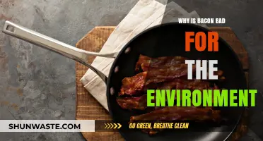 Bacon's Environmental Impact: How Pork Production Harms Our Planet