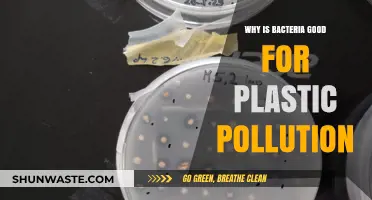 Bacteria's Surprising Role in Combating Plastic Pollution Crisis