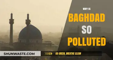 Baghdad's Air Crisis: Uncovering the Causes of Severe Pollution