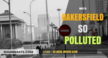 Bakersfield's Air Quality Crisis: Uncovering the Causes of High Pollution