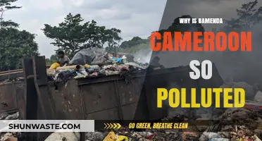 Bamenda's Pollution Crisis: Causes, Impacts, and Urgent Solutions Needed