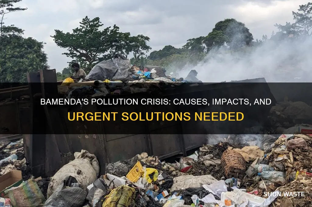 why is bamenda cameroon so polluted