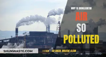 Bangladesh's Air Pollution Crisis: Why It's So Bad