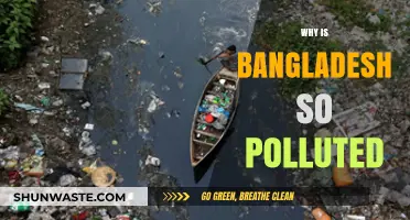 Bangladesh's Pollution Crisis: Why So Much Neglect?