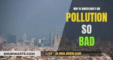 Barcelona's Air Pollution: What's the Deal?