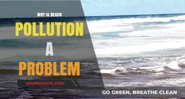 Beach Pollution Crisis: Harmful Impacts on Ecosystems, Wildlife, and Human Health